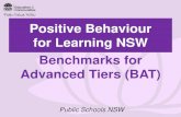 Positive Behaviour for Learning - pbl.schools.nsw.gov.au · Positive Behaviour for Learning Public Schools NSW Tier 2: Items 18 - 31 Items 18 – 31 are completed for the most common