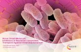 Novel Small-Molecule Inhibitors of Bacterial Lipoprotein ... · Emerging Antimicrobials and Diagnostics in AMR 2019 4 Enterobacteriaceae Infections Represent a Significant Unmet Medical