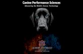 Canine Performance Sciences - Amazon S3 · 2019-09-06 · Social Physical General Executive Functions Motivation I. Refinement of Behavior Evaluations Incorporation of cognitive assessments