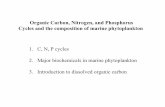 Organic Carbon, Nitrogen, and Phosphorus Cycles and the ... · The elemental composition (C, N, P, S) of marine and terrestrial organisms is a reflection of their biochemical composition