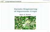 Genetic Engineering of Agronomic Crops · Introduction Perceptions of Genetically Modified Organisms 10 Genetically modified organisms ... • Have a general belief that they are