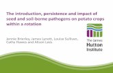 The introduction, persistence and impact of seed and soil-borne … · 2017-07-07 · The introduction, persistence and impact of seed and soil-borne pathogens on potato crops within