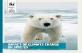 IMPACT OF CLIMATE CHANGE ON SPECIESawsassets.wwfdk.panda.org/downloads/species_and_climate... · 2015-11-09 · Six ﬁ ngers with a “false thumb” which it uses in particular