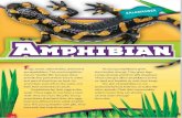 s3.amazonaws.com · rogs, toads, salamanders, and newts are amphibians. The word amphibian means "double life" because these animals live part of their lives in water and part of