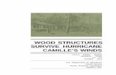 Wood Structures Survive Hurricane Camille's Winds · Hurricanes are large, violent tropical disturb ... skies, light winds, fair weather, and no rain. 4. spiraling bands of clouds
