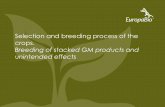 Selection and breeding process of the crops. Breeding of stacked … · 2016-11-22 · crops. Breeding of stacked GM products and unintended effects ... Field Trial 1 # Events 7 Field