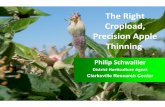 The Right Cropload, Precision Apple Thinning · The Right Cropload, Precision Apple Thinning Philip Schwallier District Horticulture Agent Clarksville Research Center. Precision Orchard