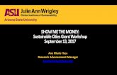 SHOW ME THE MONEY: Sustainable Cities Grant Workshop ... · Sustainable Cities Grant Workshop September 13, 2017 Ann Marie Hess Research Advancement Manager. ... building livable,