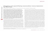 Mapping and quantifying mammalian transcriptomes by RNA-Seqmembers.cbio.mines-paristech.fr/~jvert/svn/bibli/local/Mortazavi200… · This RNA-Seq approach avoids the need for bacterial