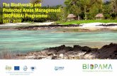 The Biodiversity and Protected Areas Management ......Big Picture - International frameworks • CBD Programme of Work on Protected Areas 2004 • The CBD Strategic Plan for Biodiversity