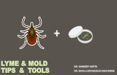 LYME & MOLD · 2018-06-09 · diagnosis or primary treatment of these conditions. ... Mold Illness Made Simple may make an affiliate referral fee for other courses the reader purchases