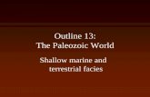 The Paleozoic Worldpages.geo.wvu.edu/~kammer/g3/13.pdf · 2015-03-04 · The Paleozoic World Shallow marine and terrestrial facies. Shallow marine facies • Sea level was much higher