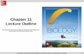 Chapter 11 Lecture Outline - Napa Valley College · Chapter 11 Lecture Outline See separate PowerPoint slides for all figures and tables pre-inserted into PowerPoint without notes.