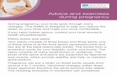 Advice and exercises during pregnancybelfasttrust-maternityservices.hscni.net/images/... · Advice and exercises during pregnancy During pregnancy, your body goes through many ...