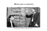 Molecular evolution · Molecular Evolution 1. c-value paradox 2. Molecular evolution is sometimes decoupled from morphological evolution 3. Molecular clock 4. Neutral theory of Evolution