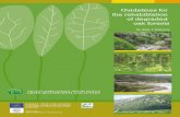 Guidelines for the rehabilitation of degraded oak forestsec.europa.eu/.../platform/documents/...forests_en.pdf · Guidelines for the rehabilitation of degraded oak forests 2.1.2.