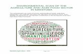 ENVIRONMENTAL SCAN OF THE AGRICULTURE …ENVIRONMENTAL SCAN OF THE AGRICULTURE AND AGRI-FOOD SECTOR IN MANITOBA This environmental scan seeks to increase understanding of trends, projections,