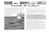 Unit 8) Ponds & Lakes · body of water that stores water for future use—most lakes and ponds in Kansas could be called reservoirs. However, when most people refer to the reservoirs