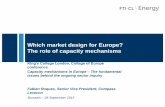 Which market design for Europe? The role of capacity ...ec.europa.eu/competition/sectors/energy/slides_roques_en.pdf · The role of capacity mechanisms ... –Sound design (product
