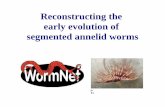 WormNet:Reconstructing the early evolution of segmented ...ucjeps.berkeley.edu/.../ATOL_2004_McHugh_Annelids.pdf · segmented annelid worms hta/m_e necci/sicmed a/cuad.enrubu.awww//:ptth