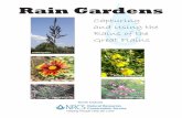Rain Gardens - Capturing and Using the Rains of the Great ... · A new rain garden captures roof and yard runoff from a ½ inch, 15-minute prairie thunderstorm in July. Note the drought