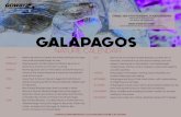 NATURE CALENDAR - Goway TravelGOWAY.COM PRESENTS: GALAPAGOS NATURE CALENDAR • Beginning of the rainy season. • Land Birds start nesting, generaLLy after the first rain. • on