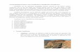 Geomorphological features and Classification ... · Geomorphological features and Classification (Classification of landforms): Landforms are the individual topographic features exposed