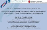 Intravascular Imaging Insights into the Mechanism of Action of … · LINC 2015 – Global Expert Exchange Forum – January 28, 2015 Intravascular Imaging Insights into the Mechanism