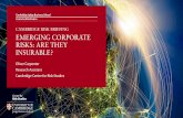 CAMBRIDGE RISK BRIEFING EMERGING CORPORATE RISKS: ARE … · Anti Microbial Resistance in pathogens, with implications for epidemic exacerbation Human Resource and Talent between