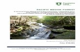 Pacific Brook Forest - Fountains Land · 2017-09-19 · PACIFIC BROOK FOREST A Vermont forest offering end-of-the-road privacy, outstanding views, level meadows, cascading waterfalls,