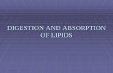 DIGESTION AND ABSORPTION OF LIPIDS - ... DIGESTION AND ABSORPTION OF LIPIDS DIGESTION OF LIPIDS Major