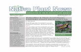 Native Plant News WINTER 2019/20 Vol. 17, Issue 4 INSIDE: … · 2019-12-02 · NEWSLETTER OF THE NC NATIVE PLANT SOCIETY WINTER 2019/20 Vol. 17, Issue 4 Butterflies & Their Food