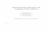 Separating Doubly Nonnegative and Completely Positive Matrices · Separating Doubly Nonnegative and Completely Positive Matrices Kurt M. Anstreicher Dept. of Management Sciences University