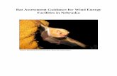 Bat Assessment Guidance for Wind Energy Facilities · Evaluating bat fatalities at wind energy facilities became a priority in 2003 in the United States and continues to be a priority