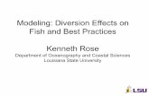 Modeling: Diversion Effects on Fish and Best Practices Kenneth … · 2014-10-06 · • Event-based algorithm –Game theoretic model –Anderson (2002); Watkins and me ... Oil Spill