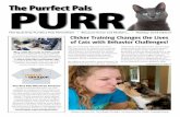 The Quarterly Purrfect Pals Newsletter • Because Every Cat … · Clicker Training Changes the Lives of Cats with Behavior Challenges! We are excited to share that Purrfect Pals