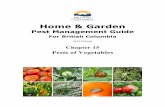 Home & Garden - British Columbia · to prevent tuber damage by larvae. On other plants such as crucifer vegetables, if flea beetles are numerous and feeding on foliage, treat with