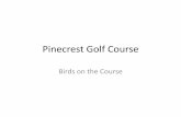 Pinecrest Golf Course - WordPress.com · Hummingbird is a common name for members of the family Trochilidae, small birds, related to the swifts, and found chiefly in the mountains