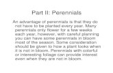 Part II: Perennials - 2017-12-23آ  Part II: Perennials An advantage of perennials is that they do not