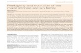 Phylogeny and evolution of the major intrinsic protein family · Biol. Cell (2005) 97, 397–414 (Printed in Great Britain) Research article Phylogeny and evolution of the major intrinsic