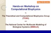 Hands-on Workshop on Computational BiophysicsExperiments with transgenic zebrafish embryo showed that FGF signaling is enhanced in the presence of BCI Zebrafish embryos treated with