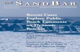 Recent Cases Explore Public Beach Easements on Dynamic …nsglc.olemiss.edu/SandBar/pdfs/sandbar10.2.pdfaccess on dynamic beaches. Namely, when pub-lic beaches disappear is the public’s