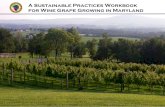 A Sustainable Practices Workbook for Wine Grape Growing in ... · Specialist in Viticulture and Small Fruit, University of Maryland extension . ... and more time than anticipated,