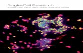 Single-Cell Research...Single-cell sequencing is also an effective approach to characterize organisms that are difficult to culture in vitro 5 Advances in single-cell sequencing have