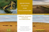 Selecting Plants for Pollinators · 2020-04-24 · Selecting Plants for Pollinators Including parts of Kansas, Nebraska, North Dakota, Oklahoma and South Dakota A Guide for Gardeners,