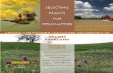 Selecting Plants for Pollinators - Shawnee County...Oklahoma, South Dakota A Regional Guide for Farmers, Land Managers, and Gardeners In the Prairie Parkland Temperate Province and