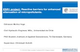 ESR1 project: Reactive barriers for enhanced attenuation ...dina-mar.es/file.axd?file=2019/12/3-Presentation_EM_W1.pdf · • Increase in retention or travel time results in enhanced