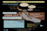 WOLVES IN CALIFORNIA...Wolves protected by Endangered Species Act (ESA) of California and the Federal ESA ALL 7 wolves in California in 2016 7 WLES,000-,000 MOUNTA LS 25,000-30,000