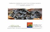 Haliburton Highlands Land Trust & Abbey Gardens...5 Pearce, J., Venier, L. 2009. Are salamanders good bioindicators of sustainable forest management in boreal forests? Canadian Journal