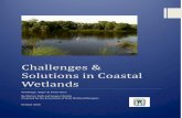 Challenges & Solutions in Coastal Wetlands · Challenges & Solutions in Coastal Wetlands ... • Facilitate the integration of wetlands into water resources and watershed management